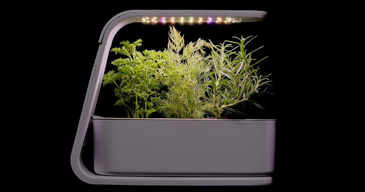 2025 Microgreen & Indoor Herb Mini Garden Gift Kits You Can Shop on Amazon