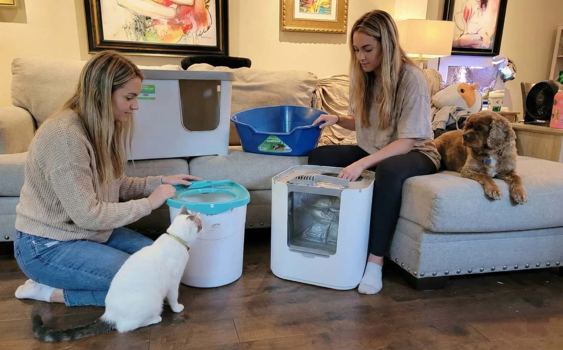 Space-saving cat litter boxes in small apartment settings