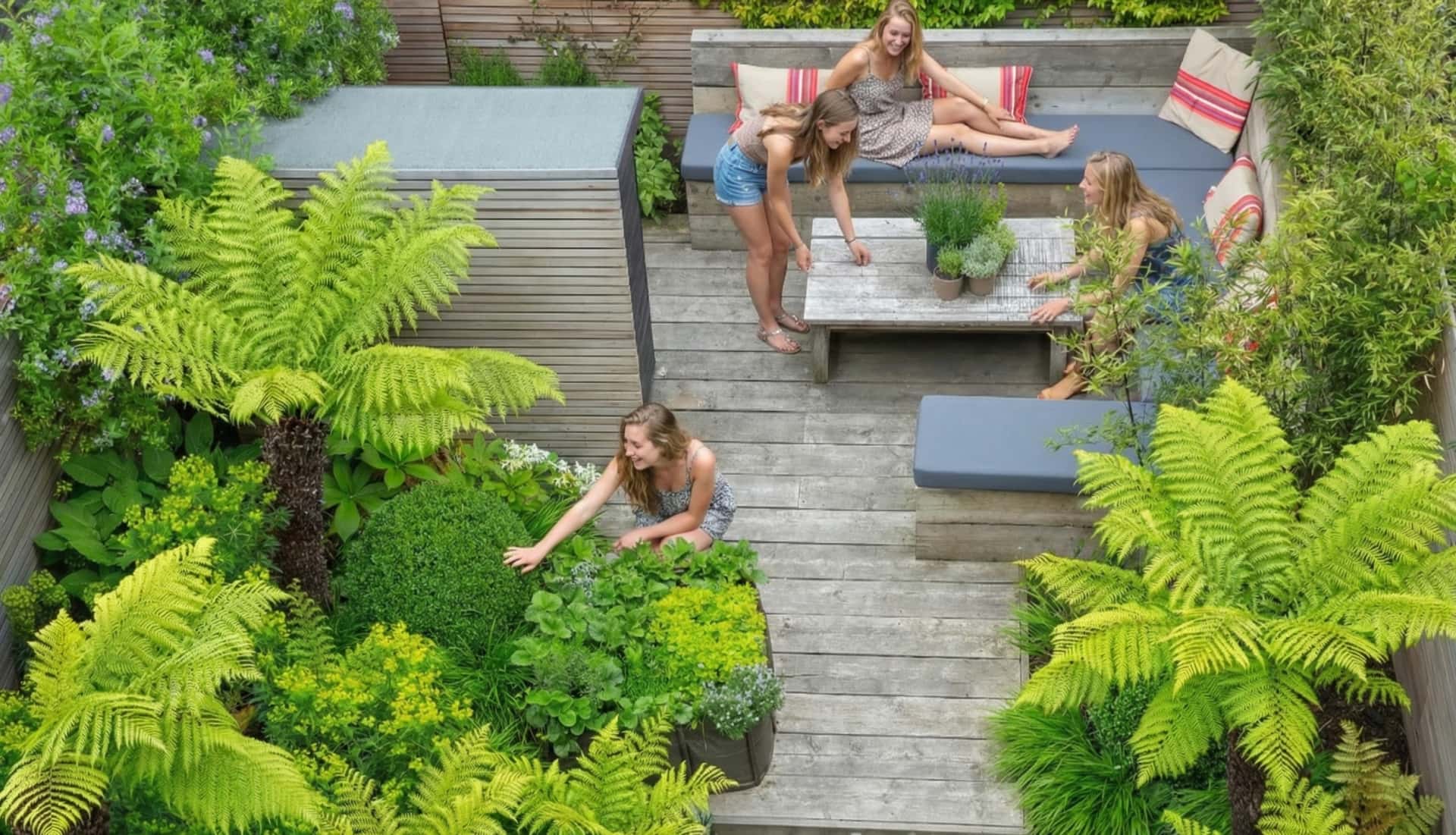 Container Patio Gardens: Urban Balcony & Terrace Ideas in Louisiana