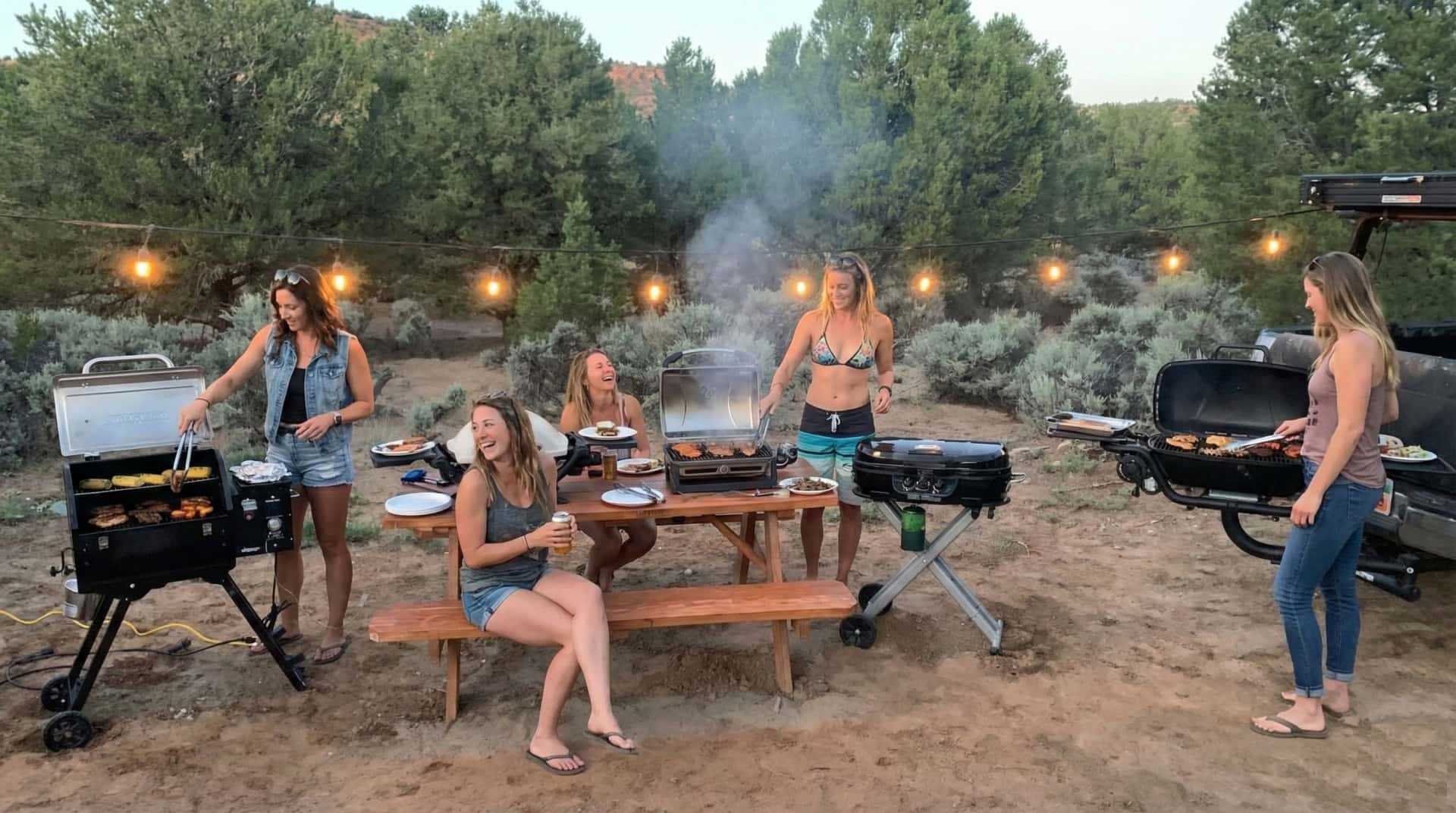 The Best Portable Grills 2025 in Wisconsin