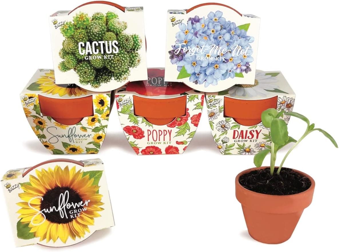 BUZZY Seeds mini terracotta grow pots with assorted flowers and packaging
