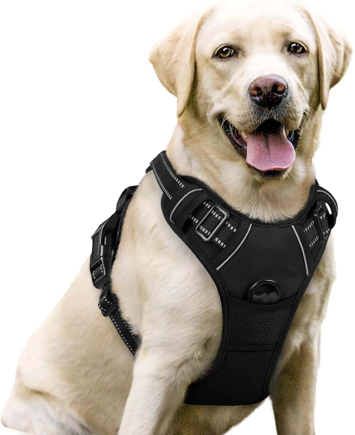 rabbitgoo dog harness for no-pull training and everyday walks