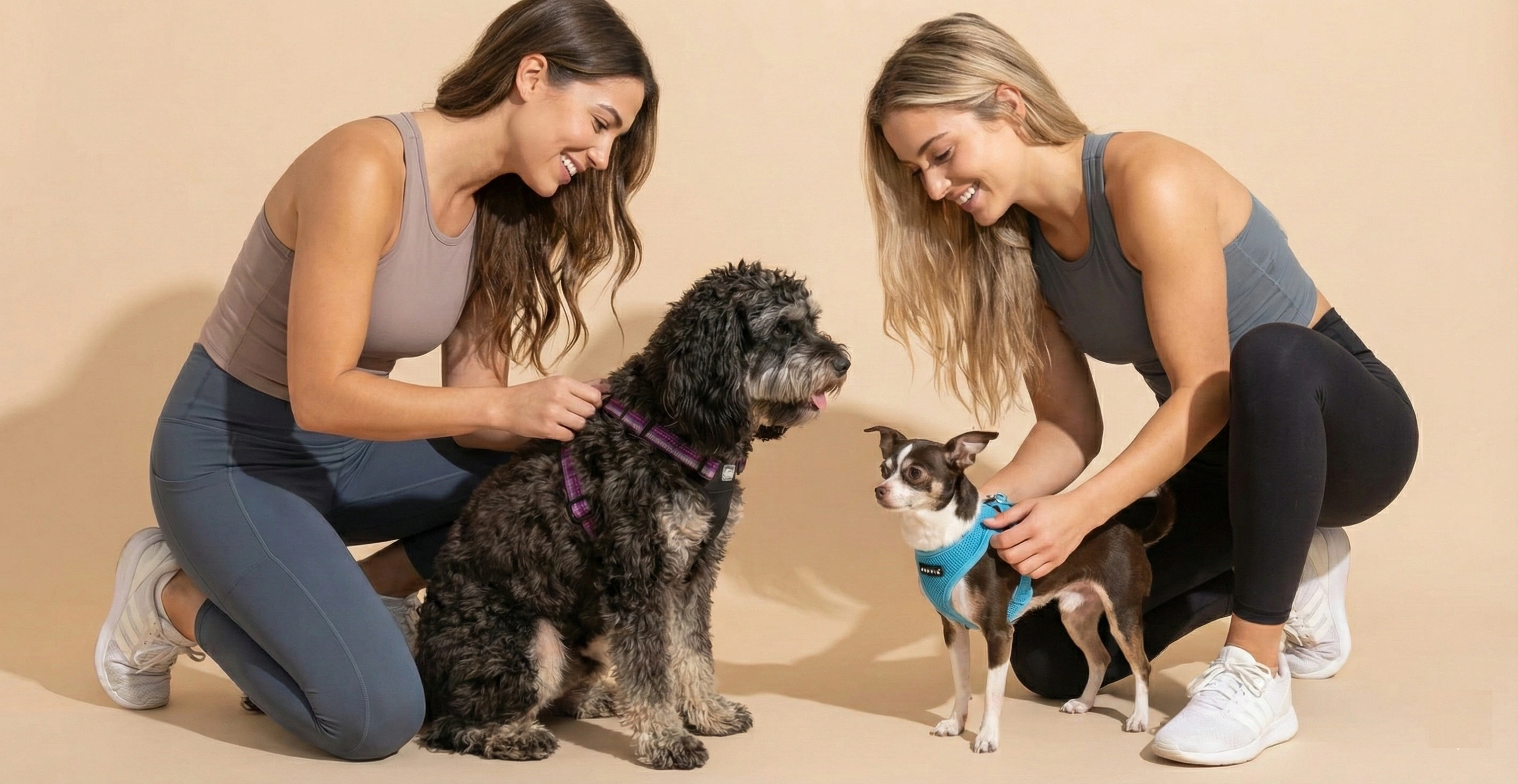 How to Choose the Right Dog Harness for Pulling: Training Guide 2025