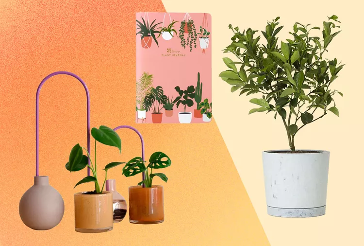 The 27 Best Gifts for Plant Lovers (2025 Testing Notes)