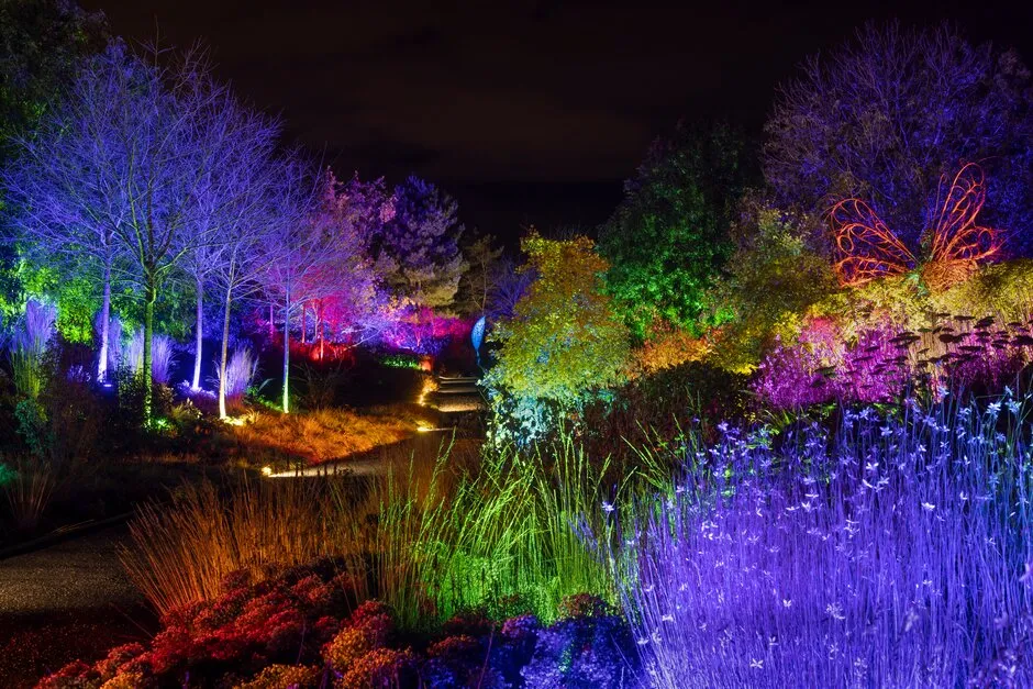 The Best Christmas Lights 2025: Expert Guide, Picks, and FAQs