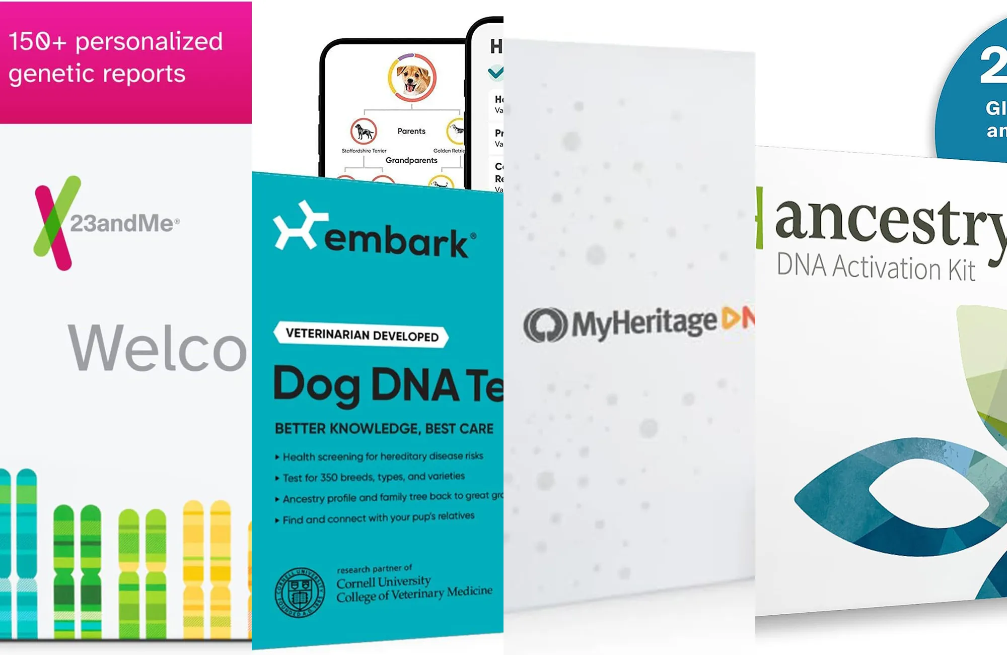 The Best DNA Testing Kit for 2025: Clinician-Vetted Picks