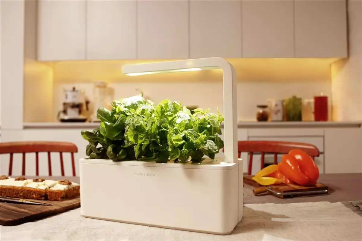 Top Herb Keepers & Indoor Garden Kits for Fresh Herbs 2025