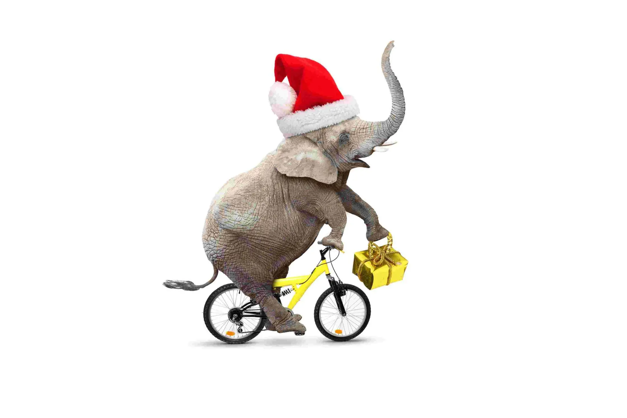 Win the White Elephant Party With One of These Gifts 2025: Ultimate Guide